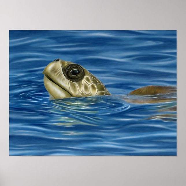 Affiche Tortue de mer d'Olive Ridley (Devant)