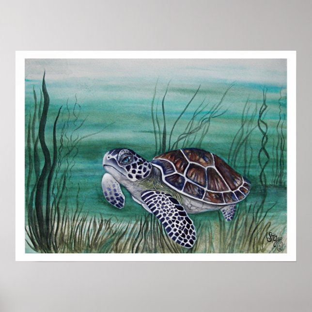 Affiche Tortue de mer Hawksbill (Devant)