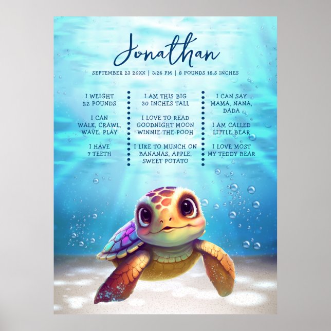 Affiche Tortue de mer Moderne Cuisine 1er Anniversaire Jal (Devant)