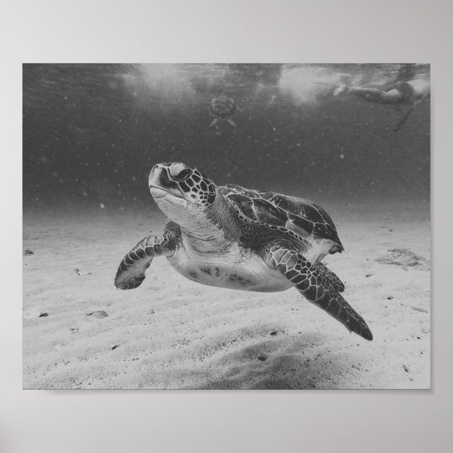 Affiche Tortue de mer noire et blanche Tropical Printable  (Devant)