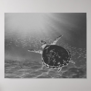 Affiche Tortue de mer noire et blanche Tropical Printable