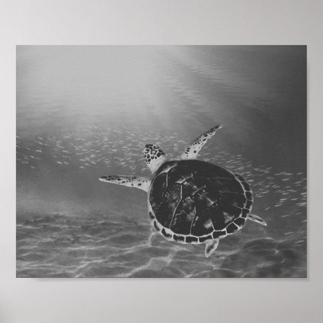 Affiche Tortue de mer noire et blanche Tropical Printable  (Devant)