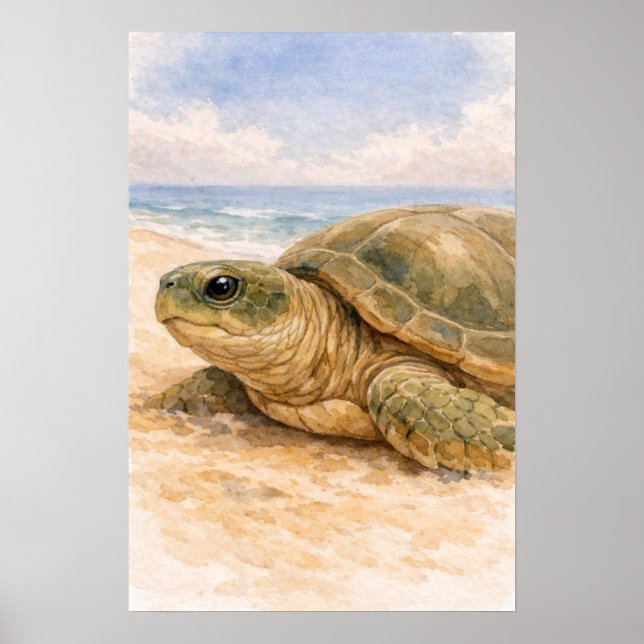 Affiche Tortue de mer Plage Océanique (Devant)