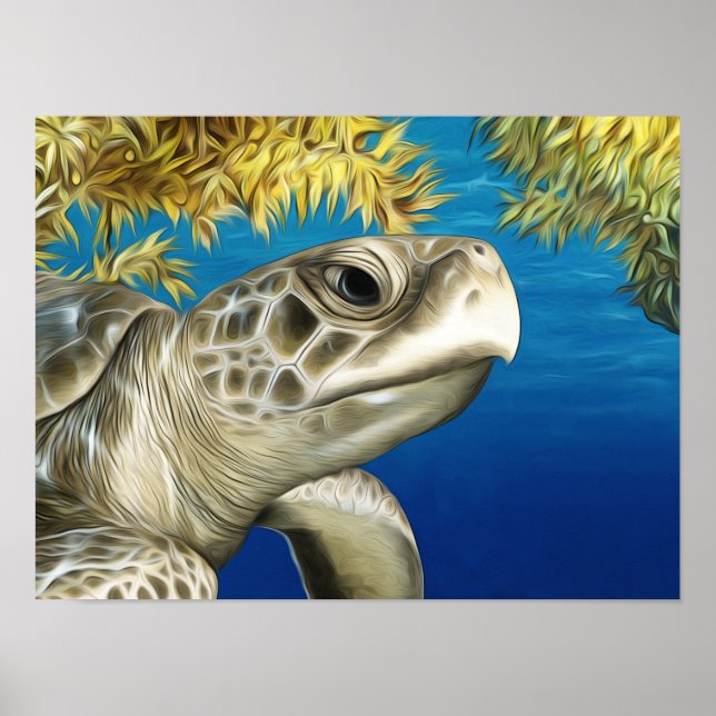 Affiche Tortue de mer Ridley de Kemp (Devant)