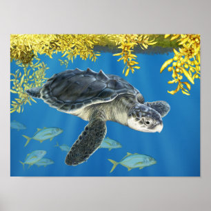 Affiche Tortue de mer Ridley de Kemp stylisée avec Sargass