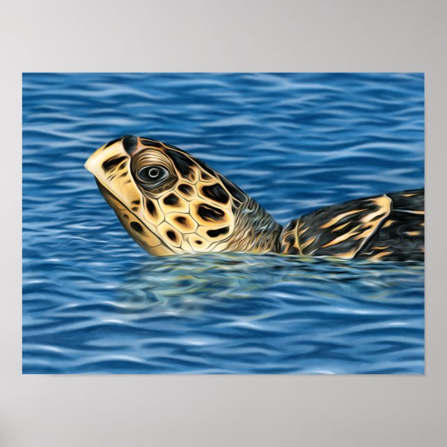 Affiche Tortue de mer Stylisée Basking (Devant)