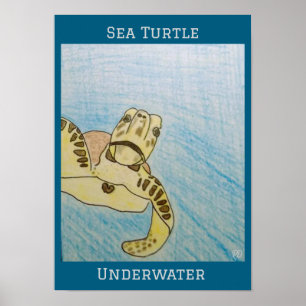 Affiche Tortue de mer verte