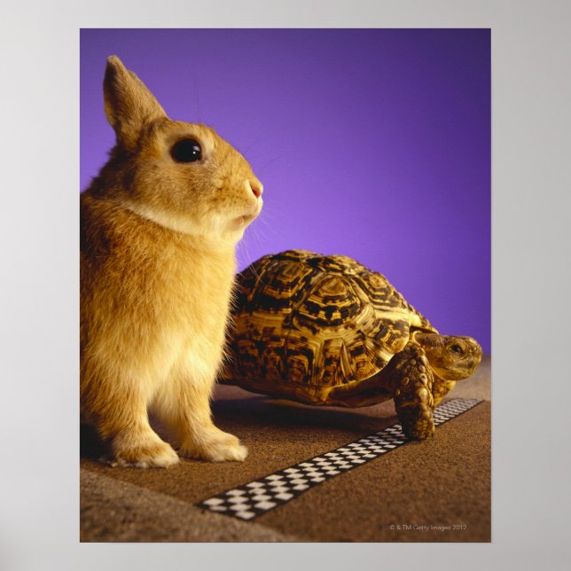 Affiche Tortue et lièvre (Devant)
