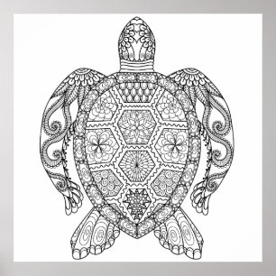 AFFICHE TORTUE MARINE