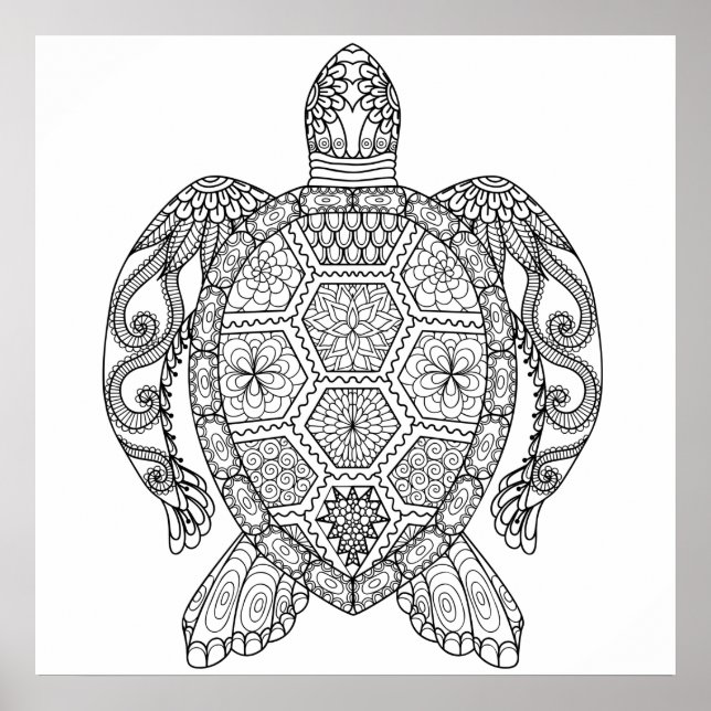 AFFICHE TORTUE MARINE (Devant)