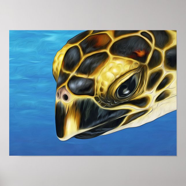 Affiche Tortue marine Stylisée Hawksbill (Devant)