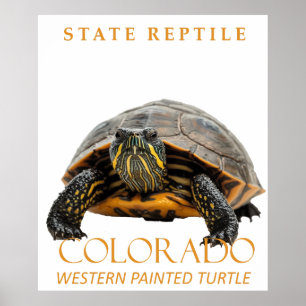Affiche Tortue peinte de l'Ouest du Territoire du Colorado