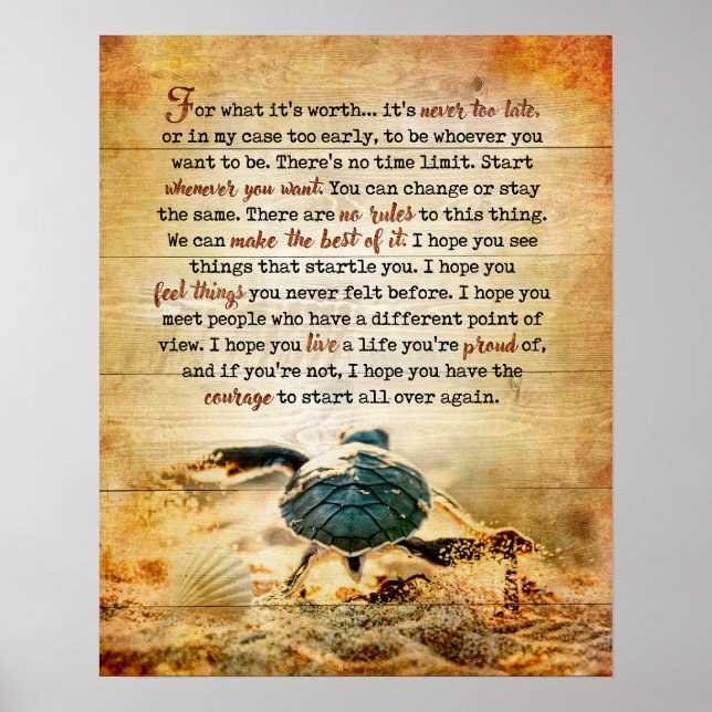 Affiche Tortue Pour Quelle Inspiration Et Motivation (Devant)