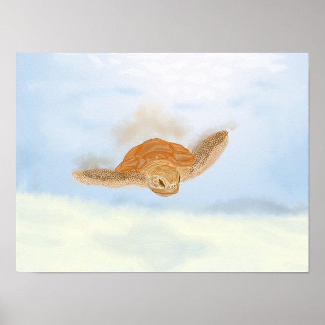 Affiche Tortue sous l'eau. (Devant)