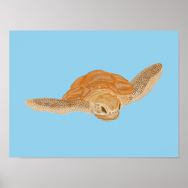 Affiche Tortue sous l'eau - transparente. (Devant)