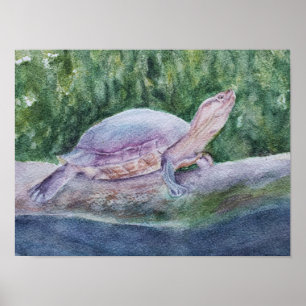 Affiche Tortue tropicale exceptionnelle