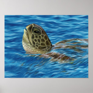 Affiche Tortue verte à basking stylisée