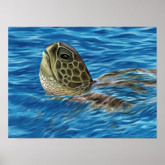 Affiche Tortue verte à basking stylisée (Devant)