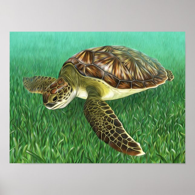 Affiche Tortue verte juvénile stylisée (Devant)