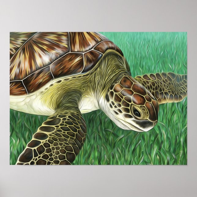 Affiche Tortue verte juvénile stylisée (Devant)