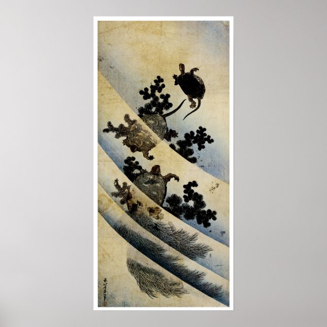 Affiche Tortues de natation (Devant)