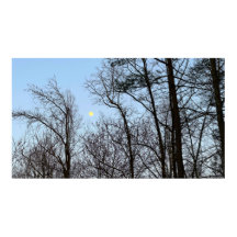 Tôt La Lune Du Soir,