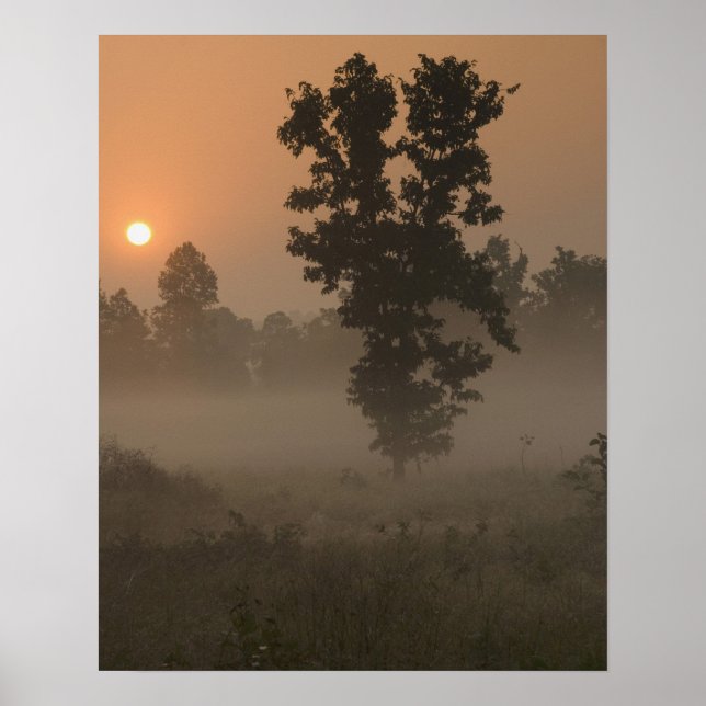 Affiche Tôt le matin, soleil levant et brouillard au sol (Devant)