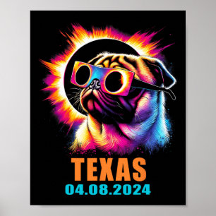 Affiche Total Solaire Eclipse 2024 Carlin Chien avec lunet