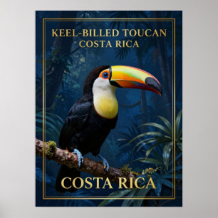 Affiche Toucan à bec caréné, faune du Costa Rica