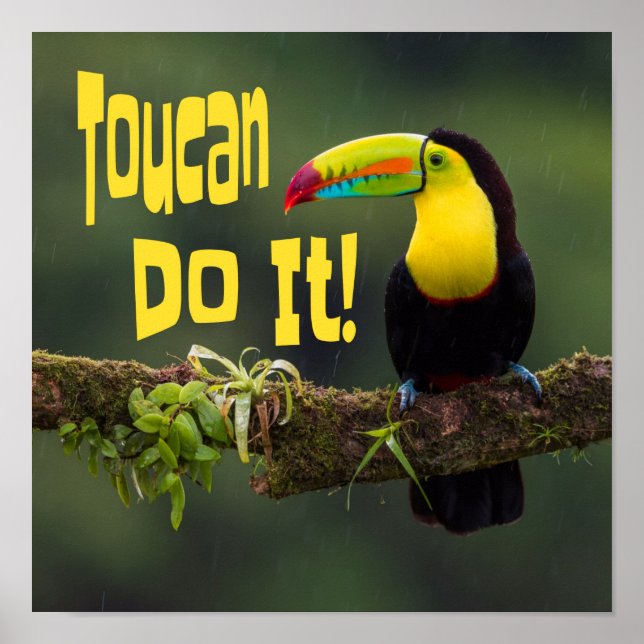 Affiche Toucan Le Fait ! Coloré Motivationnel Oiseau amusa (Devant)