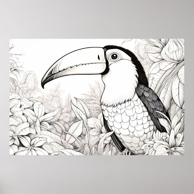 Affiche Toucan Nature paisible Prairie Dessin d'art (Devant)