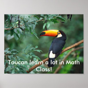 Affiche ToucanMath