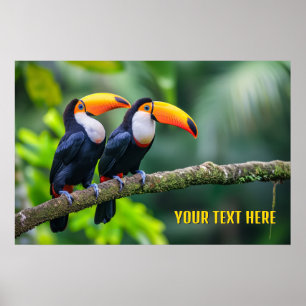 Affiche Toucans Tropical Texte Personnalisé