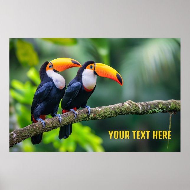 Affiche Toucans Tropical Texte Personnalisé (Devant)