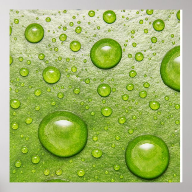 Affiche "Touche douce, goutte silencieuse" (Devant)