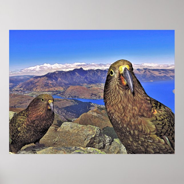 Affiche Touches à deux problèmes (Devant)