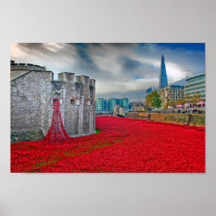 Affiche Tour de Londres Red Poppies Angleterre Royaume-Uni