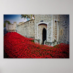 Affiche Tour de Londres Red Poppies Angleterre Royaume-Uni