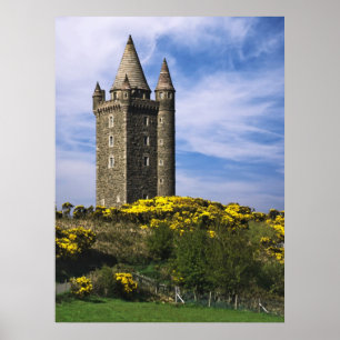 Affiche Tour de Scrabo