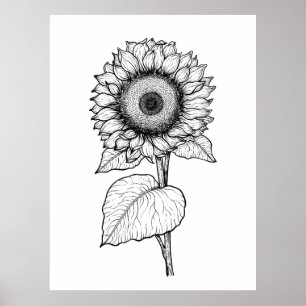 Affiche Tournesol