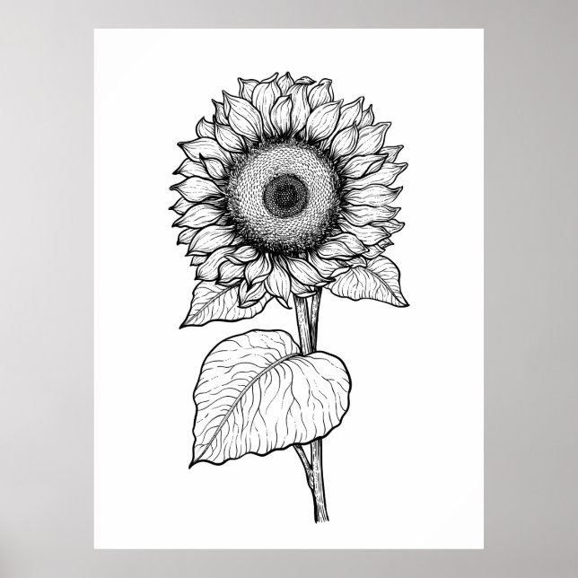 Affiche Tournesol (Devant)