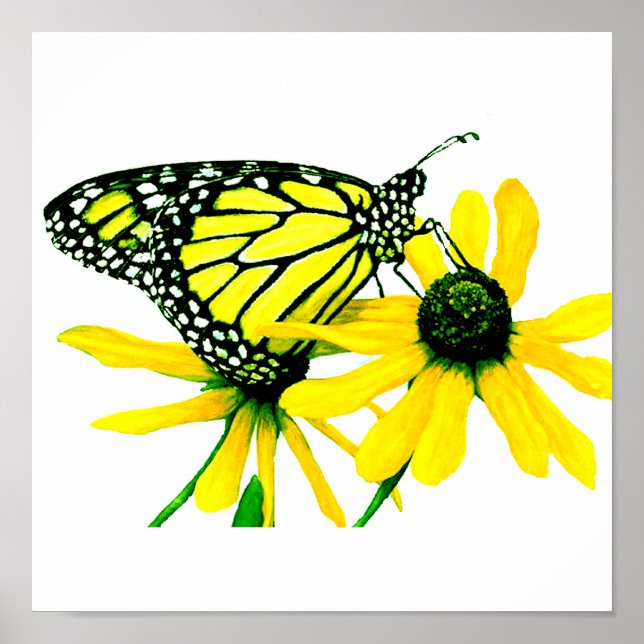 Affiche Tournesol (Devant)