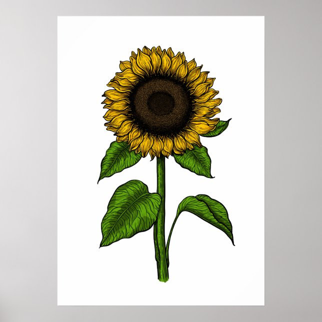 Affiche Tournesol (Devant)