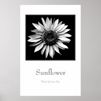 Affiche 'Tournesol'