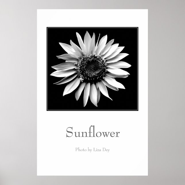 Affiche 'Tournesol' (Devant)