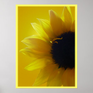 Affiche Tournesol Art Imprimer Belle Fleur Art Imprimer