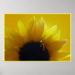 Affiche Tournesol Art Imprimer Belle Fleur Art Imprimer