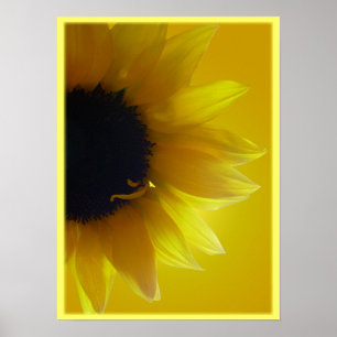 Affiche Tournesol Art Imprimer Belle Fleur Art Imprimer