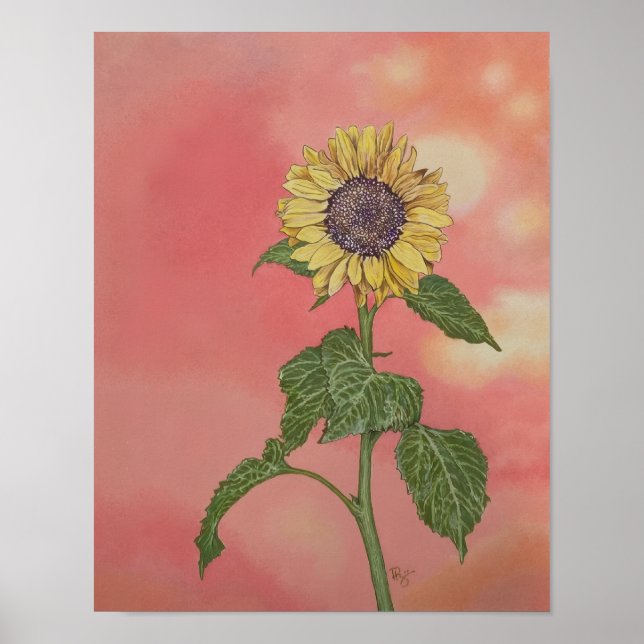 Affiche Tournesol au coucher du soleil (Devant)