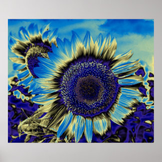 Affiche Tournesol bleu